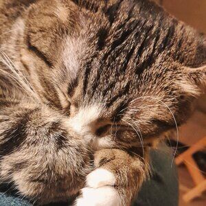 Meet your Posher, Mary